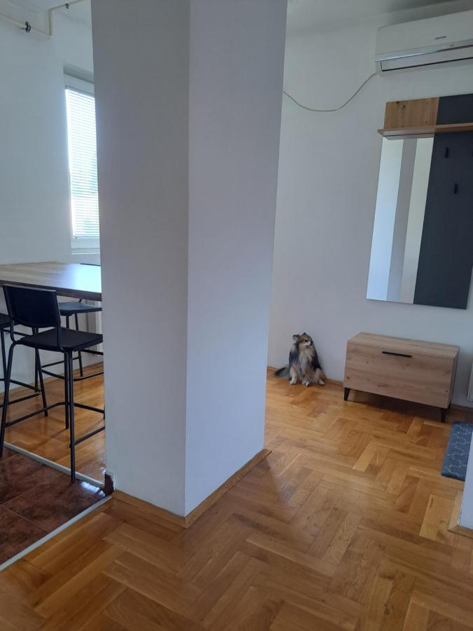 Apartman Zvezdica -Smederevo, Netflix ภายนอก รูปภาพ